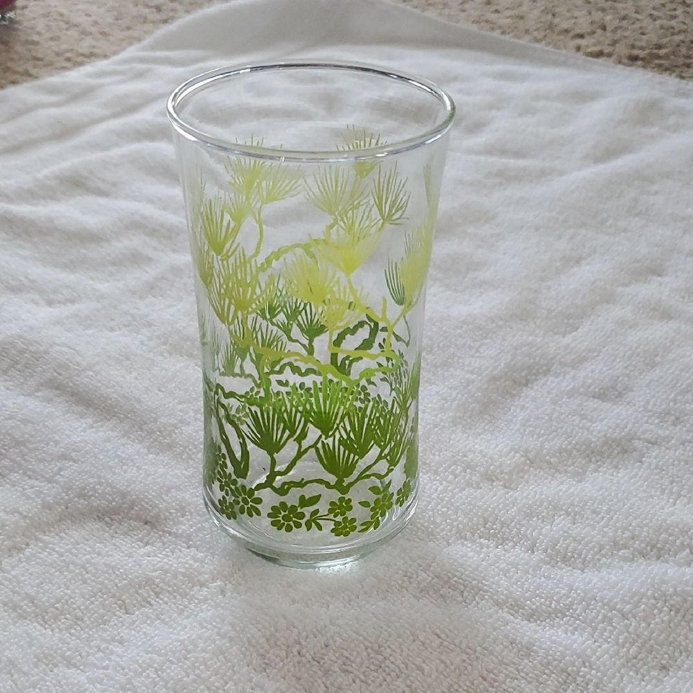Drinking Fern Glass MCM Libbey Green Ginkgo Leaves 16ozs Highball vintage